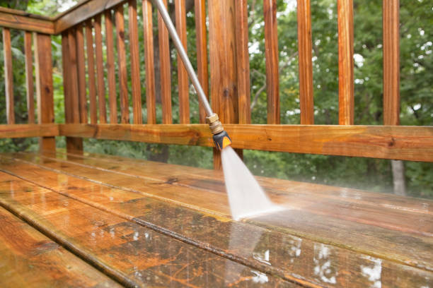 Best Local Pressure Washing Services  in Swainsboro, GA